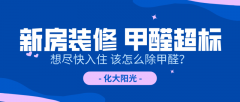 它们是室内甲醛的